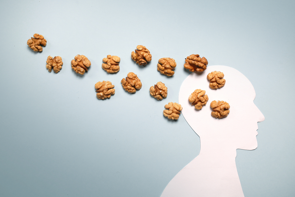 Sugar harms brain health and performance 4